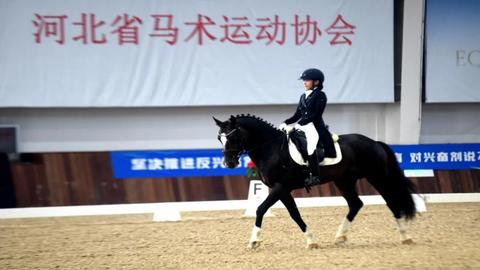 逐风驭马 竞绽芳华——河北省青少年马术锦标赛在栾城火热开赛