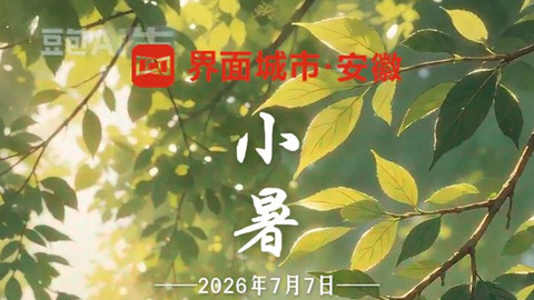 蝉鸣荷盛 人间清欢 今日恰逢小暑至