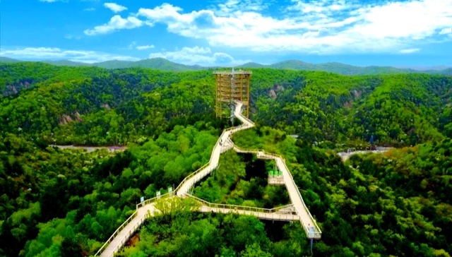 厚重红色根脉惬意绿水青山    延安成为“微度假”目的地