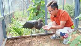 永年、峰峰联动，救助“国宝”黑鹳