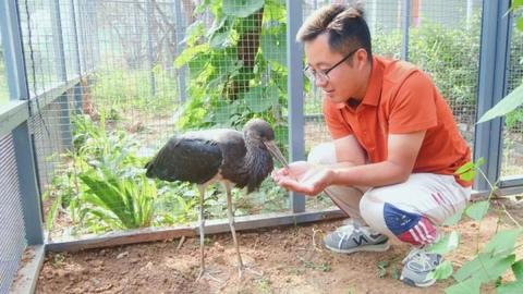 永年、峰峰联动，救助“国宝”黑鹳