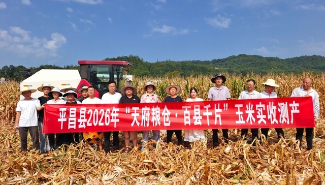 一地多收效益高 四川平昌探索稳粮富民新路径