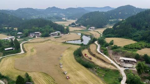 “高”在何处？细探四川首个省级农业高新技术产业园区