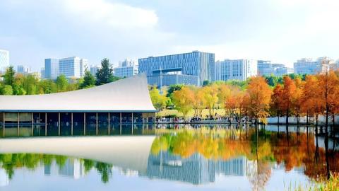 有颜值、有底蕴、有智慧 公园城市“首提地”迎来发展新机遇