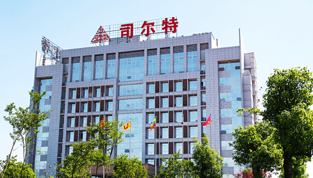财报虚假记载，ST司特被罚600万元
