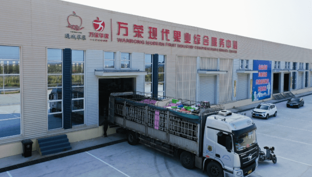 一枚苹果的全链突围 一座县域的振兴实践