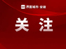 柔性执法！合肥对“低速车”出招了