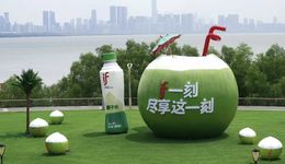 百亿椰子水赛道“都不纯”，IFBH市值蒸发超百亿港元