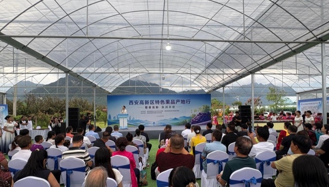 葡香高新·泉润丰收｜西安高新区特色果品产地行活动成功举办