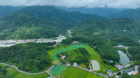 生态环境持续改善，三秦大地用青绿作答