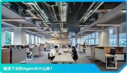 Agent的坠落，只用了一个夏天