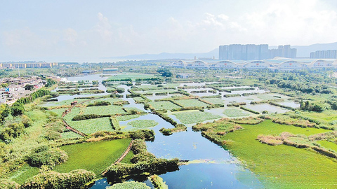 五甲塘湿地公园预计10月全新亮相