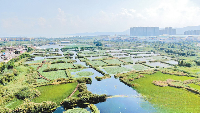 五甲塘湿地公园预计10月全新亮相
