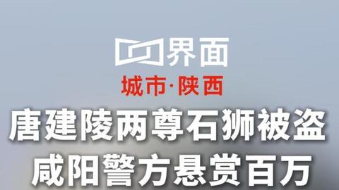 唐建陵两尊石狮被盗 咸阳警方悬赏百万