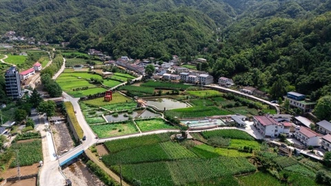 佛坪这座秦岭小城在绿水青山间蹚出“共富路”