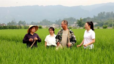 四川省纪检监察机关围绕良种、良田、粮食深化监督治理 全链条筑牢粮食安全防线