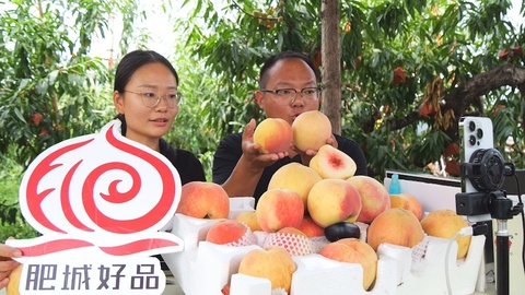 一颗桃的“消费引力”：肥城如何用全产业链思维激活县域经济新动能