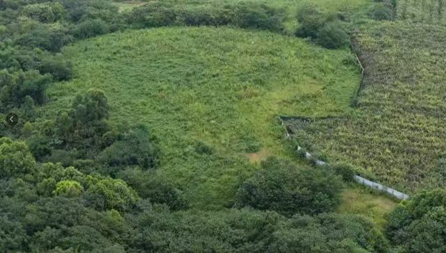 邛崃南岳村铁腕治“废”还净土 林草复青润民心