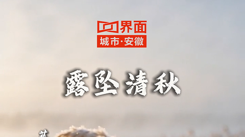 白露至，鸿雁来，今日白露