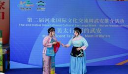武安闪耀河北国际文化交流周