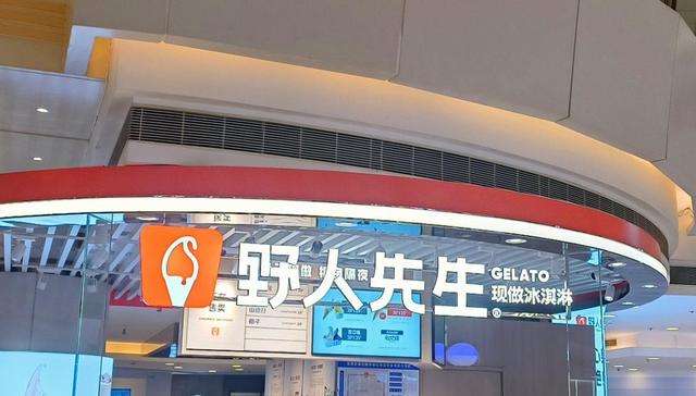 野人先生,罗永浩