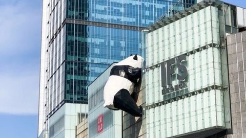 双节来成都，放心吃、放心购、放心游！