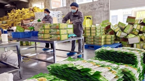 清涧：资金赋能产业兴，粉条铺就致富路