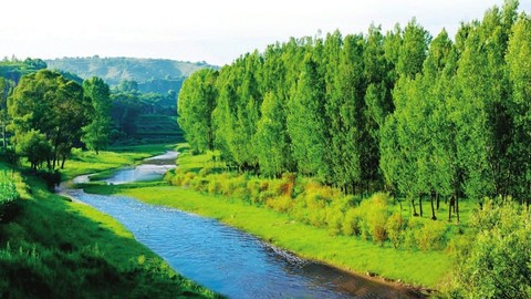 全方位协同发力 推动美丽山西建设迈上新台阶