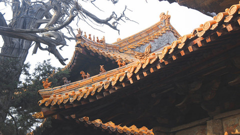时评 | 尼山论“竞”开启的跨时空对话
