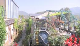 石家庄市鹿泉区：山间烟火聚人气，携山慢烤解锁乡村微度假