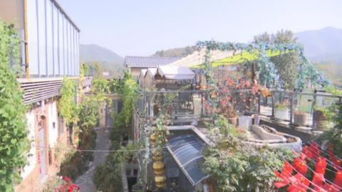 石家庄市鹿泉区：山间烟火聚人气，携山慢烤解锁乡村微度假