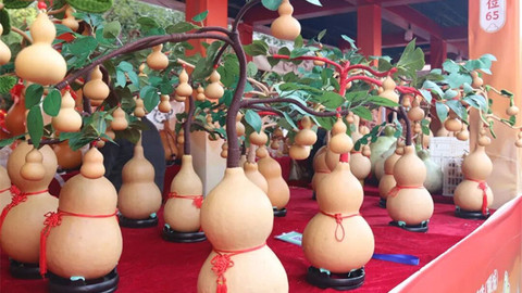 山东城市观察 | 在聊城，赴一场运河边的“福禄”盛会