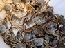 县在行动｜青岛莱西：一只蟹的“北养”账本，60万斤之上算溢价