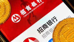 “頂流”張坤一日砍倉300萬股招商銀行，原來是持倉超限額了