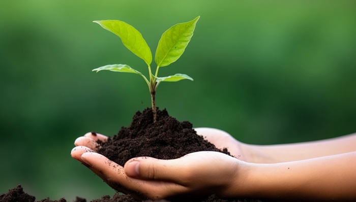 电子鼻“嗅”出污染源头企业，AI如何助力生态环境监测监管？