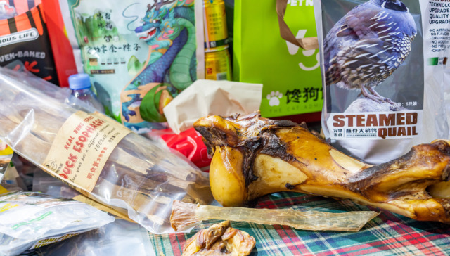 Homegrown pet food brands rise as China's market shifts