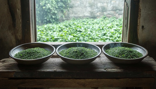 IPO雷达｜茶叶不好卖了！八马茶业转战港股，不少加盟商是前员工及其亲属开的