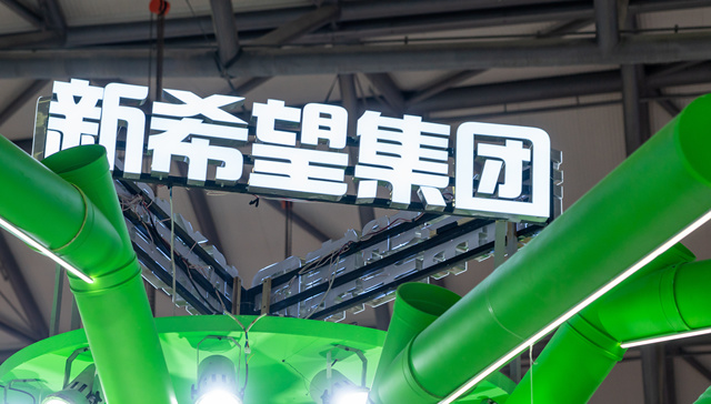 新希望,募资