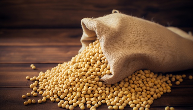 At CIIE, U.S. soybean farmers and agribusinesses find new assurance in China trade