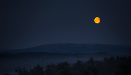 優(yōu)酷《白夜追兇2》，重蹈《慶余年2》覆轍？
