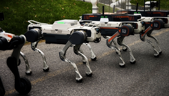 中国电网;近100亿具身智能设备采购;投资;机器人应用;新空间