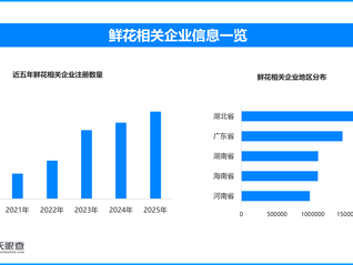 以礼传情 以爱护航：母亲节消费背后的情感价值与生活升级